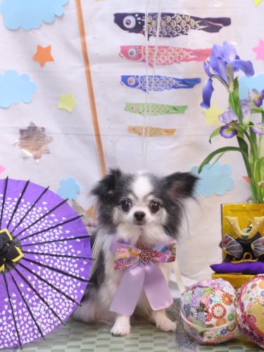 20240521マイアちゃん